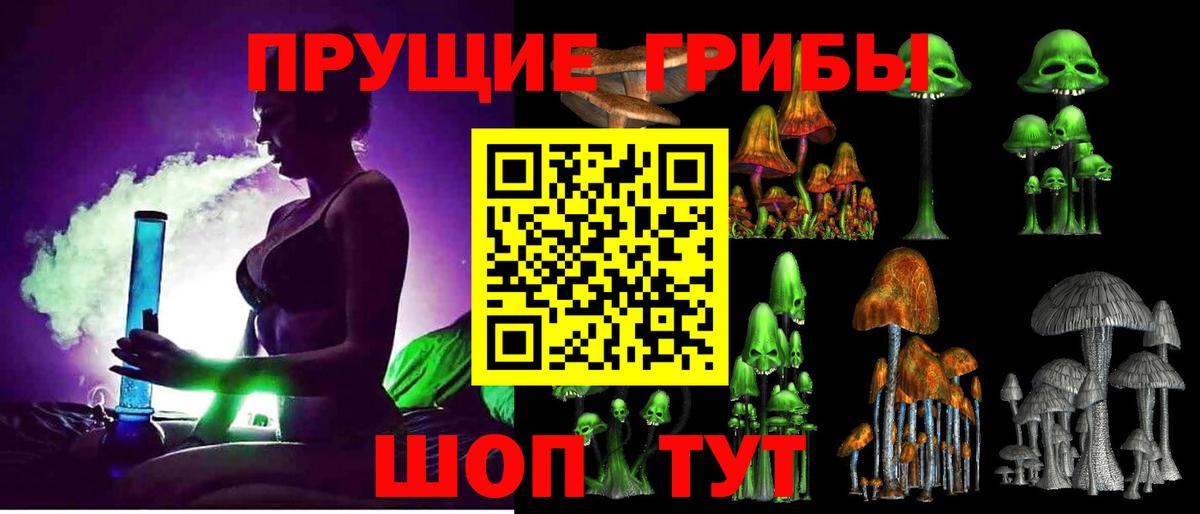 Галлюциногенные грибы Cubensis Михайловск